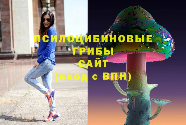а пвп мука Карпинск