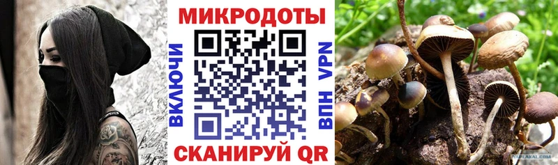 Галлюциногенные грибы GOLDEN TEACHER  kraken зеркало  Волжск 